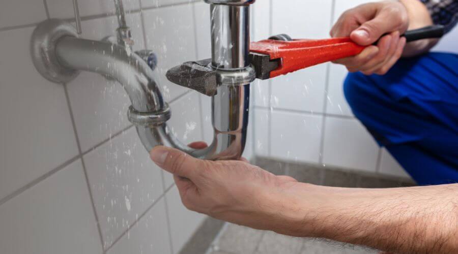 Professional Leak Detection services in Freelandville, IN